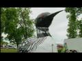 News video: Land of the Loon